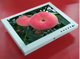 加尼鷹 8寸液晶顯示器監(jiān)視器 高清 VGA/BNC/RCA 電腦接口 車載監(jiān)控儀器儀表 白色鐵殼
